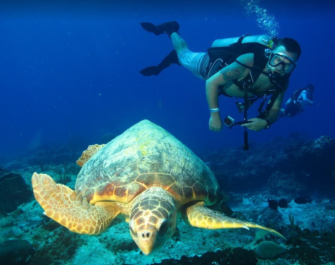 Diving with turtles and singrays by Quique Tours